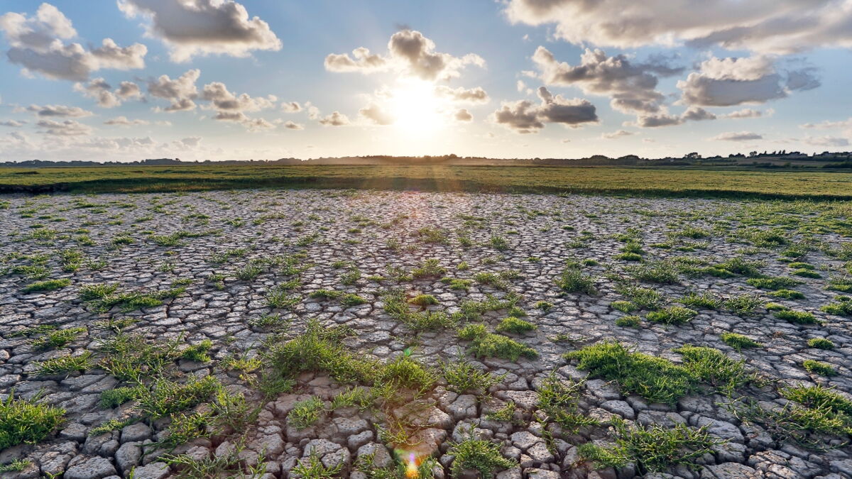 HöllenHitzewelle überrollt Deutschland Die Nächte werden