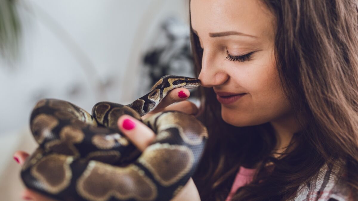 Frau lässt ihre Python ins Bett: Dann macht sie eine furchtbare Entdeckung