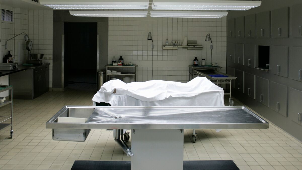 Wie Lange Darf Eine Leiche Im Kühlhaus Liegen Leichenlipide: Ein Phänomen, das die Zersetzung von Leichen verhindern kann