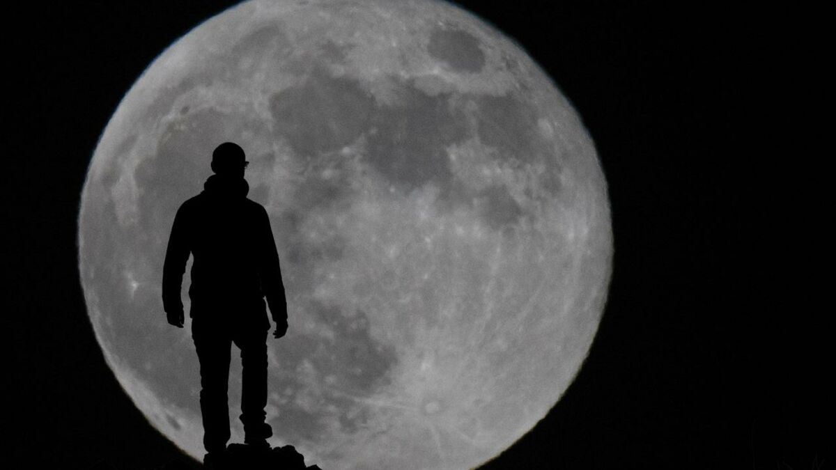 33+ Der Garten Hinter Dem.mond Pyle, Diese aufnahme schoss ein gerät