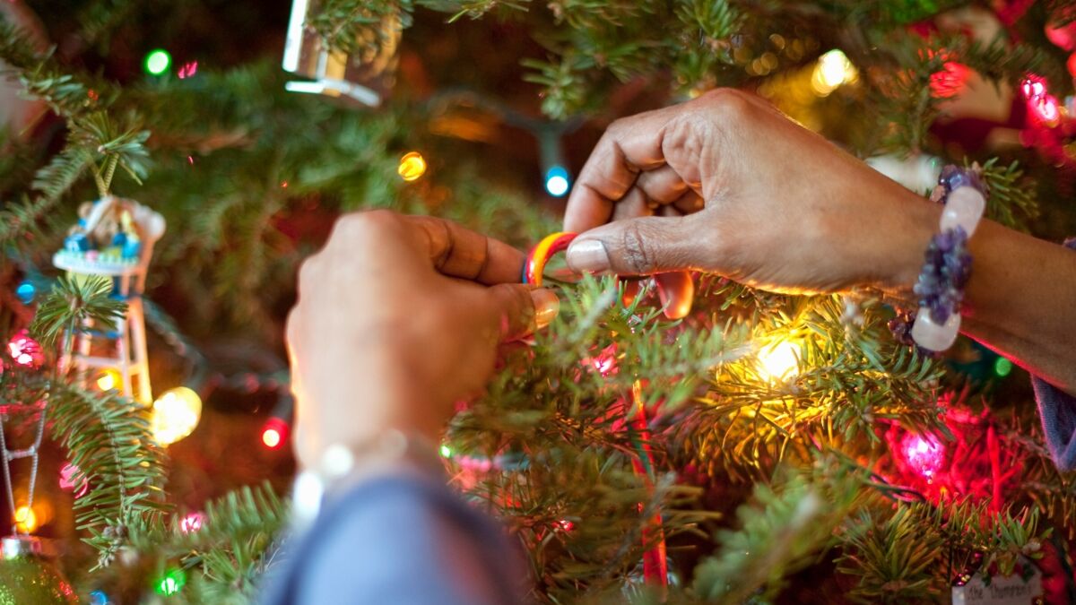 Lichterketten Wie nur eine kaputte Glühbirne zur großen Gefahr werden kann