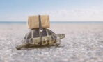 Revolutionäre Seefahrt: Dieses Kreuzfahrtschiff sieht aus wie eine Schildkröte