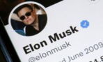 Elon Musk als neuer Twitter-Chef: Die ersten Fake-Profile von Stars tauchen auf