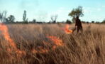 Buschfeuer in Australien: Aborigines haben jahrtausendealte Lösung