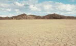 Extrem trockene Wüste: Hier bringt der Regen den Tod