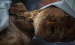 Forscher rekonstruieren die Stimme einer 3000 Jahre alten Mumie!