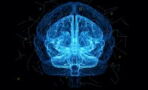 Gehirnkapazität: So viel Prozent unseres Gehirns nutzen wir wirklich