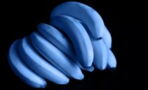 Globale Erwärmung: Werden unsere Bananen jetzt blau?