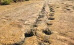 Wegen Klimawandel: Dürre enthüllt faszinierende Dinosaurierspuren in Texas