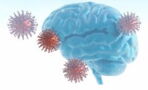 Gehirnnebel: Forscher haben Ursache dieser Corona-Langzeitfolge gefunden