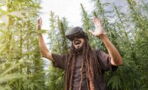 Virtuelles Cannabis statt Rauchen: Eine legale Alternative?