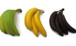 Grün, gelb oder schwarz: Welche Banane ist am gesündesten?
