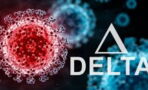 Doch kein Ende von Covid-19 in Sicht? Forschende behaupten: Delta kann jederzeit wiederkommen