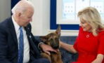 Ärger wegen Vierbeiner: Hund von US-Präsident Joe Biden macht Probleme