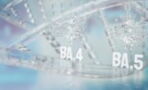"Corona ist noch nicht vorbei": Weltärztebund warnt vor Zunahme von Omikron BA.5 in Deutschland