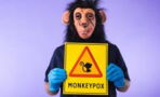 "Diskriminierend": WHO kündigt neuen Namen für Affenpocken an