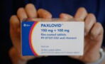 Viel gelobtes Corona-Medikament Paxlovid wieder in der Kritik: "Ärzte nicht ausreichend informiert"