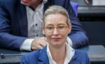 Wahlkampf-Absage: AfD-Chefin Alice Weidel auf Mallorca gesichtet
