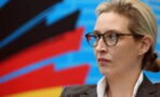 AfD verliert in Umfragen an Boden: Beliebtheitswerte sinken