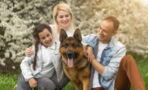 Ausgesetzter und entführter Hund findet nach fünf Jahren zu Familie zurück (Video)