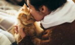 Gesundheit: Ärzt:innen warnen davor, Katzen einen Kuss zu geben