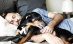 So beeinflusst die Gegenwart eines Hundes im Zimmer unseren Schlaf
