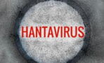 Hohes Infektionsrisiko: Warnung vor Hantavirus