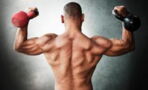 Mit diesem Workout trainiert ihr euren kompletten Oberkörper
