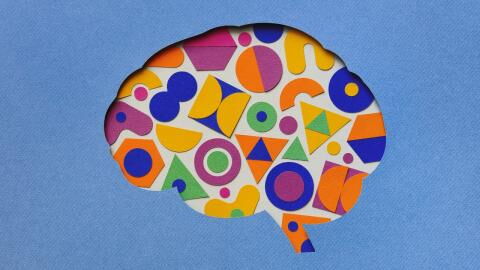 Dies ist das Alter, in dem wir laut Wissenschaft am intelligentesten sind