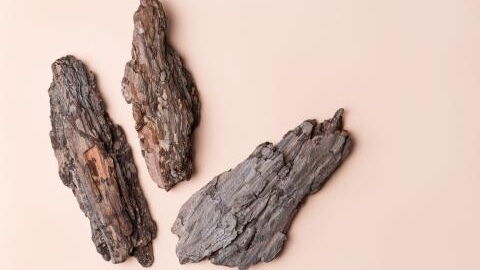 Verstecktes Detail in dieser 6000 Jahre alten Gravur gibt Forschenden Rätsel auf