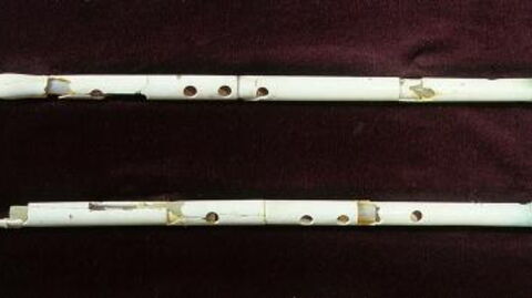 12.000 Jahre alten Knochenflöten hatten laut Archäologen einen ungewöhnlichen Zweck