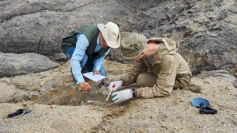 Unverhoffter Fund: Hobby-Archäologe findet riesigen Goldnugget