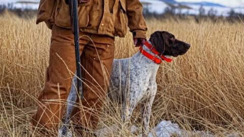 Hund erschießt Mann bei Jagdunfall
