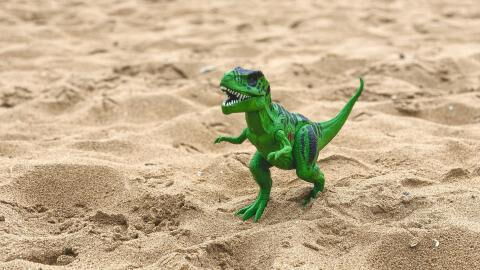 "Enten"-Dinosaurier: Fossil in der mongolischen Wüste entdeckt