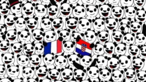 Optische Täuschung: Könnt ihr die Maus im Bild finden?