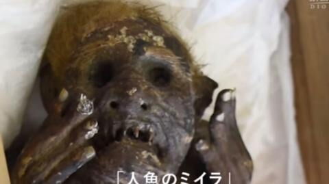 Mumie, die halb Mensch, halb Fisch ist: Wird das Rätsel um ihre Herkunft bald gelöst?