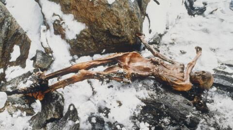 Neue Forschungsergebnisse: So sah "Ötzi" wirklich aus