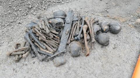 Polizei ermittelt: Bauarbeiter machen Knochen-Fund
