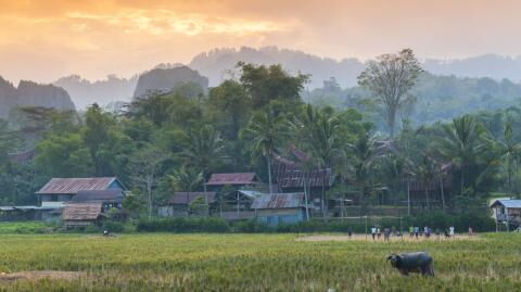 Totenkult in Indonesien: Verstorbene verbleiben bei der Familie