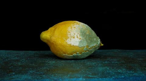 Virologin erklärt: Der richtige Umgang mit schimmeligem Obst und Gemüse