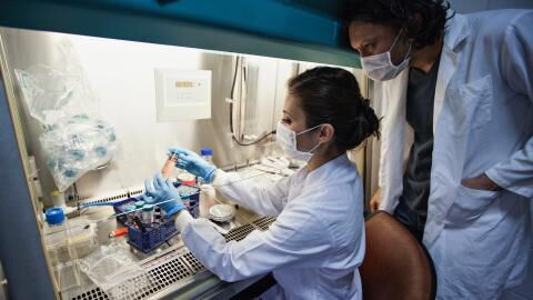 Stammzellenforschung: Menschliche Embryos sollen in künstlicher Gebärmutter entwickeln werden