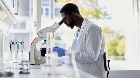 Putzkraft zieht Kühlschrank-Stecker: 20 Jahre Forschung vernichtet