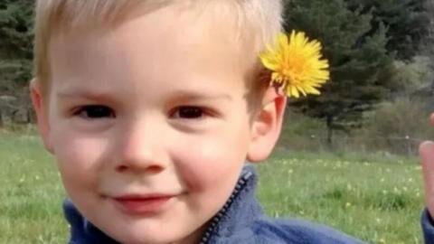 Theorie zum Tod von Émile: Wurde der Leichnam von Wölfen verschleppt?