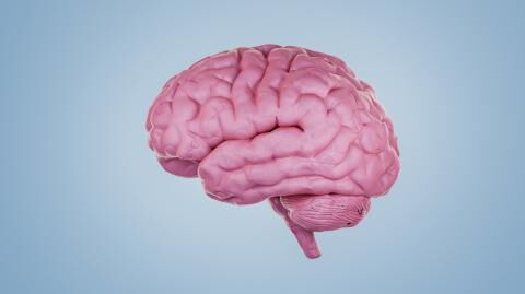 Nach Teilnahme an Parkinson-Studie: Frau erlebt Erschreckendes