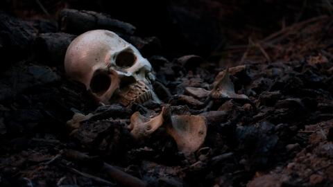 Massengrab aus Pestzeiten in Nürnberg entdeckt: 2.000 Tote möglich