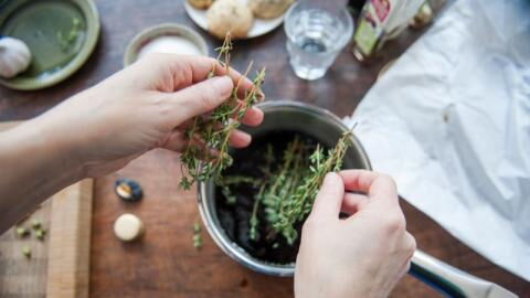 Winterkrankheiten: Hilft Thymian wirklich gegen Erkältungen?