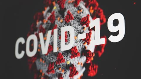 Covid-19: Warum gehen weltweit die Fallzahlen zurück?