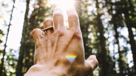 Waldbaden: So tankst du neue Kraft in der Natur