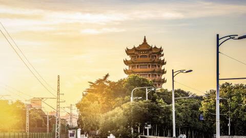 Wettlauf gegen die Zeit: Bald lässt sich der Ursprung von Corona nicht mehr ermitteln