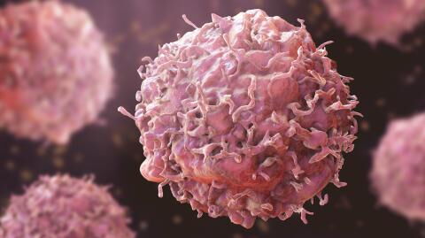 Durchbruch im Kampf gegen Krebs: Forschende finden heraus, wie man kranke Zellen in gesunde umwandelt